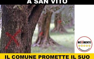 M5S San Vito: “Emergenza Xylella: Il Comune promette il suo impegno”