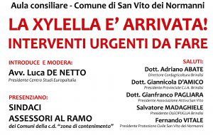 Domani 23 a San Vito la conferenza dal titolo “la xylella è arrivata: interventi urgenti da fare”