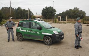 Conclusa la stagione di caccia: il bilancio dei Carabinieri Forestali