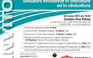 Soluzioni innovative in viticoltura e in olivicoltura: se ne parla martedì 28 a Cantine Due Palme