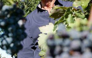 Il Presidente di Cantine Due Palme, Angelo Maci, si schiera al fianco delle piccole imprese agricole in difesa dei voucher