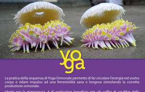 Domenica 26 a Brindisi mini corso di Yoga ormonale