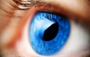 Giornata Mondiale del Glaucoma: appuntamenti a Mesagne e Fasano