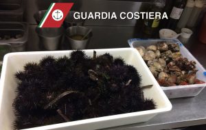 Sequestrati ricci e frutti di mare in un rinomato ristorante di Brindisi: multa per 4.500 euro