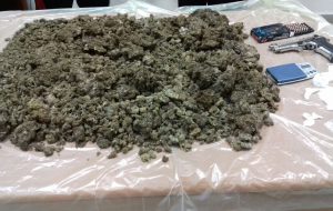 Coppia in erba: i Carabinieri trovano 5 Kg di marijuana nella casa di due giovani di Carovigno