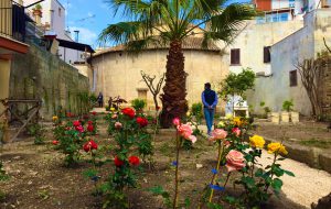 Anche la città di Brindisi partecipa all’iniziativa nazionale “Incontriamoci in giardino”.
