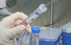 A Brindisi, Carovigno, San Pietro e Torchiarolo più tumori che nel resto della Provincia