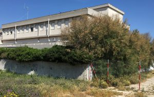 Nasce a Mesagne una comunità di progetto per studiare le anomalie della postura
