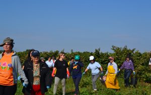 Parte l’Orto Sociale gestito dai Ragazzi della Cooperativa Oltre l’Orizzonte