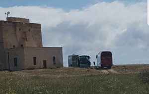 Due autobus nella riserva: “ancora uno scempio a Torre Guaceto”