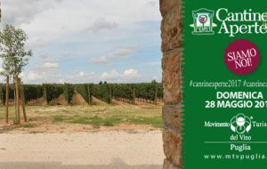 Domenica 28 torna Cantine Aperte: appuntamento in 5 cantine della Provincia di Brindisi