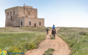 La 2′ tappa del campionato Endurance Fise a Torre Guaceto