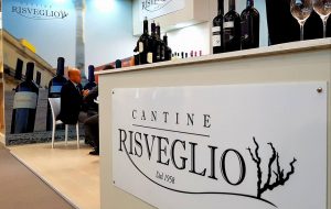 Gli alunni dell’I.C. Sant’Elia-Commenda visitano le Cantine Risveglio di Brindisi