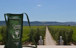 Oltre 40mila presenze a Cantine Aperte 2017