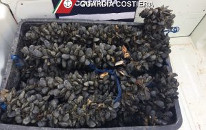 Sequestrati 100 Kg di cozze nere, venduti senza etichetta e in pessime condizioni igienico-sanitarie