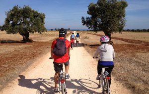 Cicloescursioni vegetariane nel Parco delle Dune Costiere