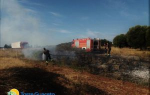 Il pronto intervento dei Vigili del Fuoco ferma un incendio nella Riserva di Torre Guaceto
