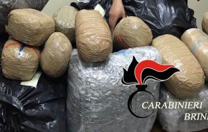 Camionista siciliano fermato con 70 Kg. di marijuana
