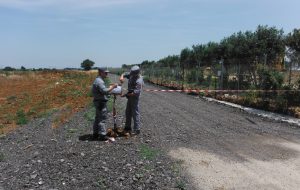 2000 metri cubi di rifiuti bituminosi abbandonati sulla SS7 per Mesagne: sequestrati tre terreni
