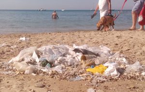 Stessa spiaggia, stesso mare: ogni anno è sempre uguale, il litorale abbandonato al degrado