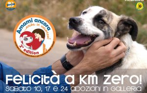 Amami Ancora …anche in vacanza! torna la campagna contro l’abbandono e per l’adozione degli animali