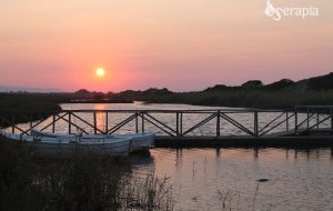 Trekking notturno di San Lorenzo al Parco Dune Costiere