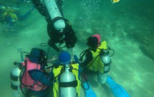Pulizie sul fondo del mare per rendere Torre Guaceto ancora più bella ed attraente