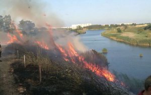 Continua la sinergia tra Vigili del Fuoco e Guardie Ambientali Ekoclub