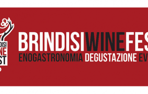 Al via il Brindisi Wine Fest, vino e musica: un percorso tra le migliori  produzioni vitivinicole accompagnate dal sound di artisti internazionali