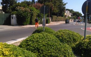 Prosegue l’attività dell’Ecotenica nel Comune di Brindisi. Attivata pagina Facebook per informazioni e segnalazioni