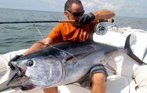 Stop alla campagna di pesca sportivo-ricreativa del tonno rosso