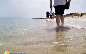 Vivere nei parchi, tornare a vivere a Torre Guaceto