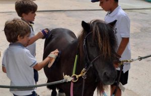 Il gioco contro la malattia: seconda giornata in Puglia a “Winning Camp”