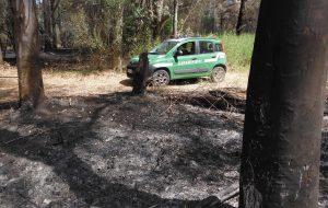 Canneto in fiamme: denunciato agricoltore