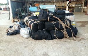 Sequestrati 525 Kg di marijuana: foto e nomi degli arrestati