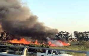 Ancora un incendio a Torre Guaceto: le fiamme devastano distesa di canneti