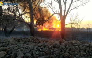 Incendi boschivi: 2,7 milioni dalla Regione Puglia, finanziamenti anche Fasano ed Ostuni