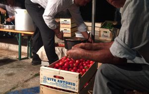 Notte Verde a Cisternino: spadroneggia il pomodoro Regina