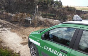 Campagna antincendio 2017: dati nella media nonostante il gran caldo