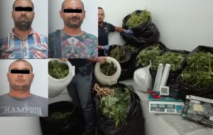 Un quintale di marijuana in una baracca di legno: in galera tre brindisini