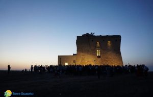 Torre Guaceto ancora senza presidente: “solo il Commissariamento può salvare la riserva!”
