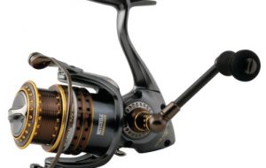 Truffa via internet: incassa denaro per la vendita di un mulinello per canne da pesca ma non spedisce la merce