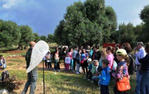 Biodiversità nel Parco delle Dune Costiere: domenica appuntamento con “Le farfalle del Parco”