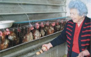 Slow Food: “I produttori si raccontano” approda all’Azienda Agricola Scarafile