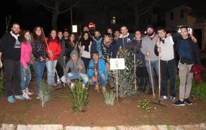 Ostuni Green Riot avvia l’opera di riqualificazione di un’ampia area verde su Viale degli Emigranti