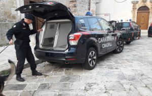 I Carabinieri mettono a setaccio San Vito dei Normanni e Carovigno: perquisizioni, denunce e sequestri di droga