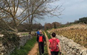 Domenica 12 “Nordic Walking “nel Parco delle Dune Costiere