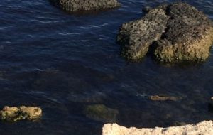 Scarico di acque nere nel Porto di Brindisi: denunciati vertici di Enel Produzione