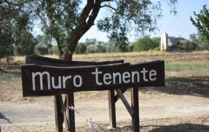 Mesagne, approvata la convenzione per Muro Tenente
