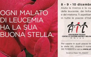 Tornano in piazza le Stelle di Natale della BrinAil
